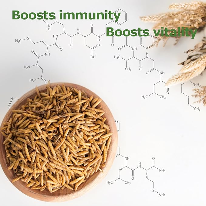 10LB Dried Black Soldier Fly Larvae, Non-GMO & Nutrient-Packed Chicken Feed, Strong Egg Production and Health, Rich in Calcium for Healthy Hens & Ducks, 80X Calcium vs Mealworms