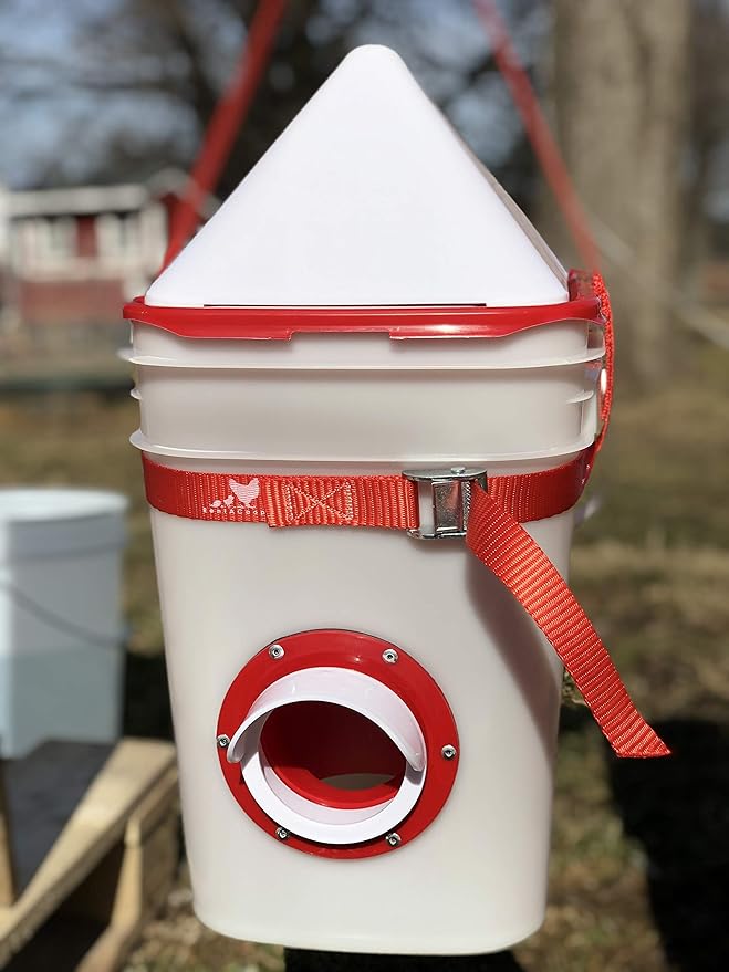 RentACoop Hanging Strap for Chicken Waterers and Feeders - Fits Every Size of Round or Square Bucket