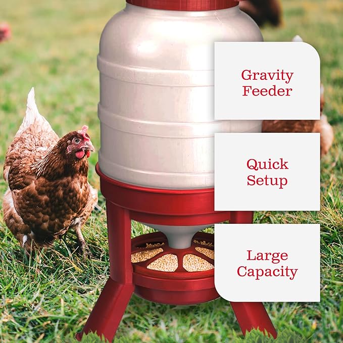 Little Giant Plastic Dome Feeder (60 Lb) Heavy Duty Plastic Gravity Fed Poultry Feed Container Tank (Red) (Item No. DOMEFDR60) (2 Pack)