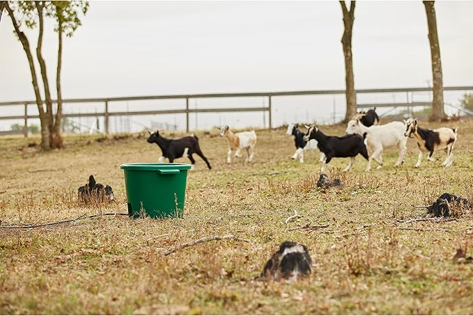 Farm Innovators 2 Pack Heated Water Bucket, 200W Heating Power - 16 Gallon Plastic Bucket with Replaceable Heating Element for Livestock Watering & Feeding