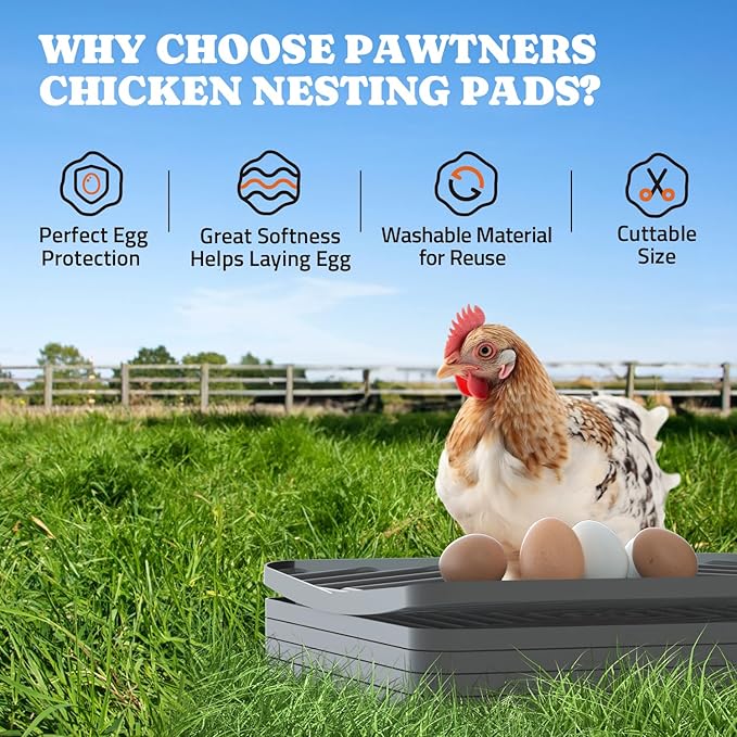 Pawtners Chicken Nesting Box Liners: Washable Nesting Pads for Laying Eggs, 12x12, 10 Pack
