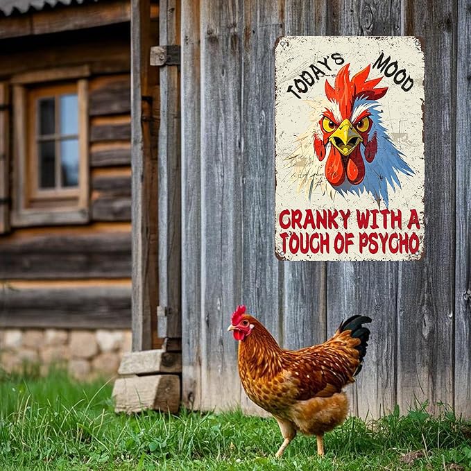 Funny Chicken Signs Today's Mood Metal Tin Sign 12x8 Inch Farm Rooster Wall Decor Chicken Coop Accessories Home Kitchen Garden Country Farm Backyard