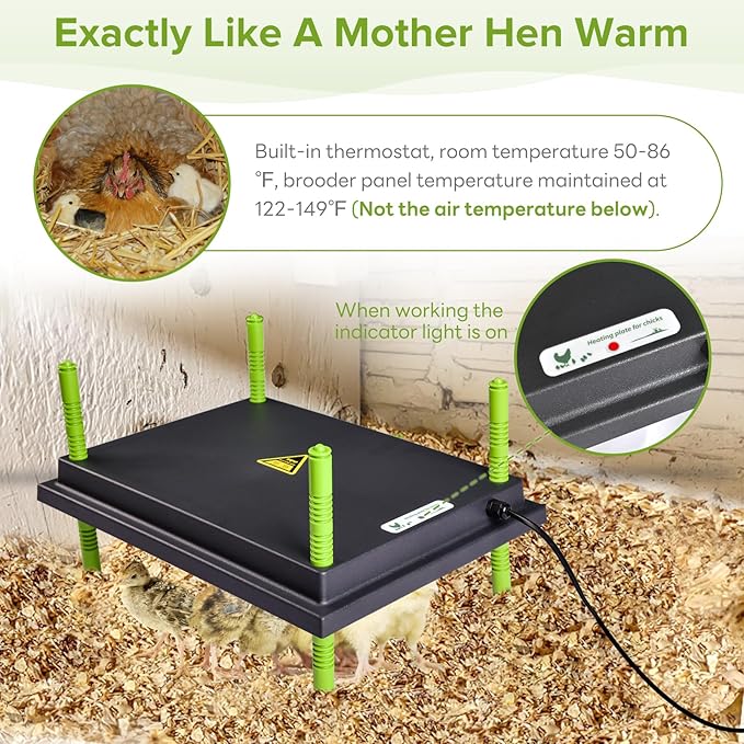 Chick Heating Plate - 12 x 16 Inch Chicken Heater Plate for Chicks with Adjustable Height & Angle - 30W Safer Than Brooder Lamp Warms Up to 40 Chicks