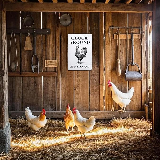 Funny Chicken Gifts Chicken Coop Sign Chicken Signs for Home Garden Farm Chicken Coop Farmhouse Kitchen Decor(8 X 12) Inch