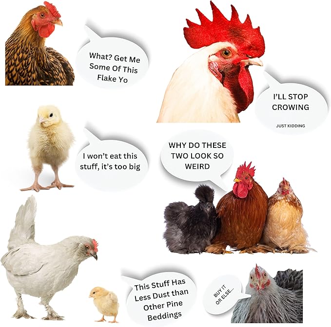 Premium Pine Bedding | Dust Free, Soft Shavings | All Natural | Chicken Coops | Animal Bedding | Small Animals | Odor Control (8 Quart)