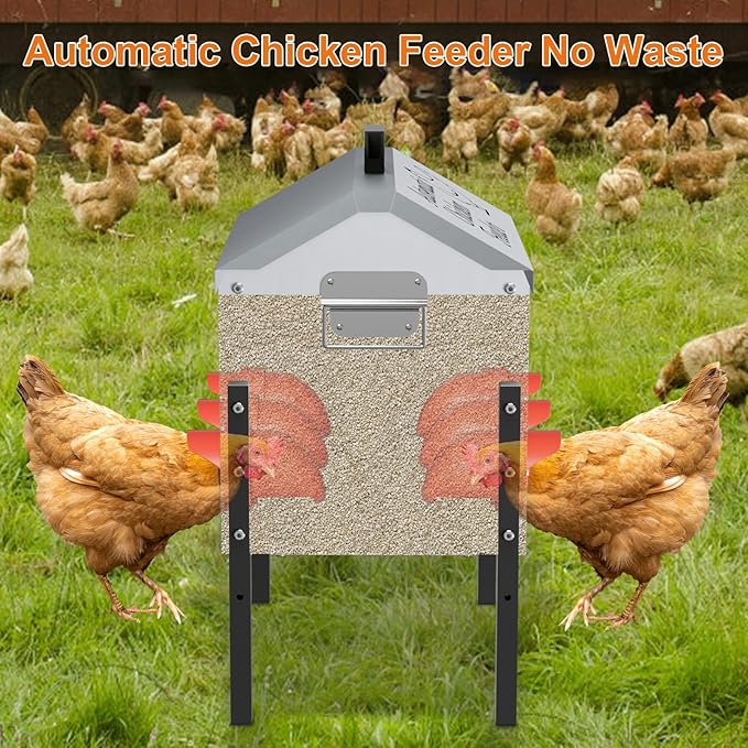 50LB Automatic Chicken Feeder, Metal Chicken Feeder with Window, No-Waste Poultry Feeder with 8 Feeding Ports, Adjustable Height, Locking Lid & Weatherproof Design for Outdoor Coop