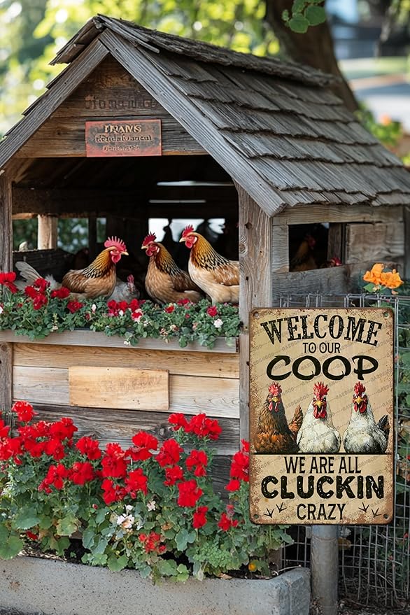 Chicken Metal Tin Sign Welcome To Our Coop We Are All Cluckin Crazy Vintage Tin Sign For Chicken Wall Farmhouse Farm Home Coop Decor 16x12 Inch