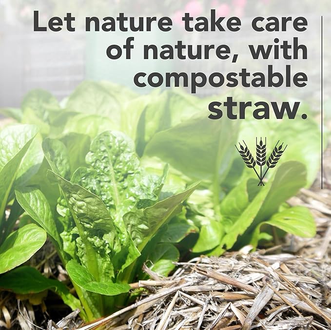 Premium Garden Straw (1 LB) - Straw Mulch That is Designed for Use in Compost Beds, Gardens, Pet Bedding, Lawns and Much More. by Home and Country USA