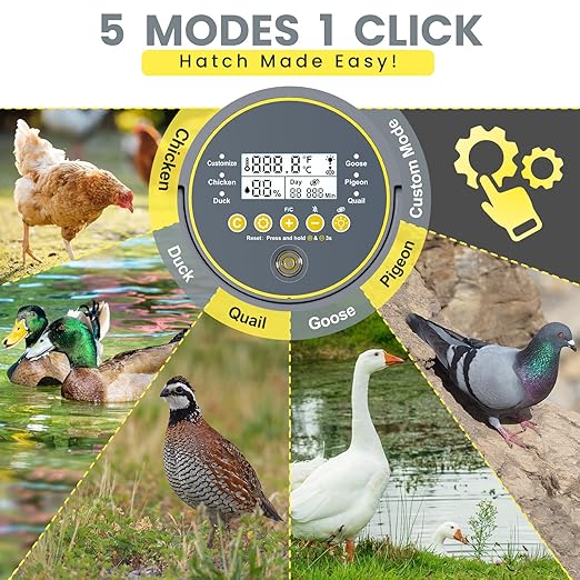 Incubators for Hatching Eggs with Automatic Egg Turner, Temperature Humidity Control, Egg Candler, Large Water Tank, 5 Preset Hatching Modes for Chicken Duck Goose Quail Pigeon Eggs-12 Capacity
