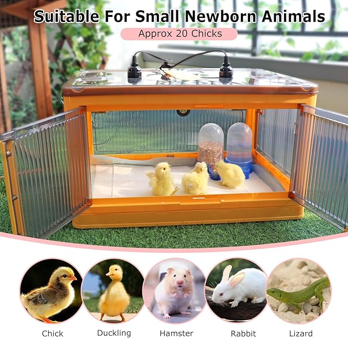 Chick Brooder Box for Chicks, Quail Brooder Box Kit with Heater Feeder and Waterer Set Chicks Warmer for 20 Duckling Parrot Lizard Ducks Bedding Indoor (23.62”x16.53”x13” Yellow)