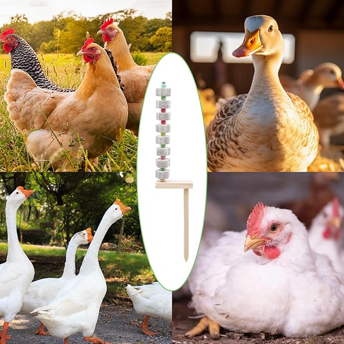 2 Pack Chicken Toys - Chicken Coop Accessories with Calcium Stone & Wood Stake - Enrichment Toys for Hens, Ducks, Geese, Turkeys, Poultry