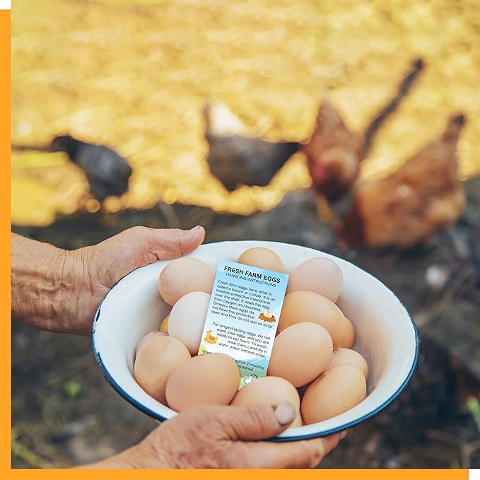 200 PCS Fresh Farm Egg Handling Instruction Cards, Double-sided Printing Egg Carton Stamp Bulk with Washed/Unwashed Fresh Egg Care Accessories Card Labels for Farm Fresh Eggs (3.5” x 2”, Rustic Style)