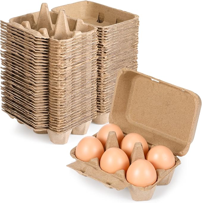 Nuenen 200 Pieces Egg Cartons Bulk Cardboard Blank Light Egg Cartons Empty Container Tray for Farm Market Family Kitchen(2 x 3 Style)
