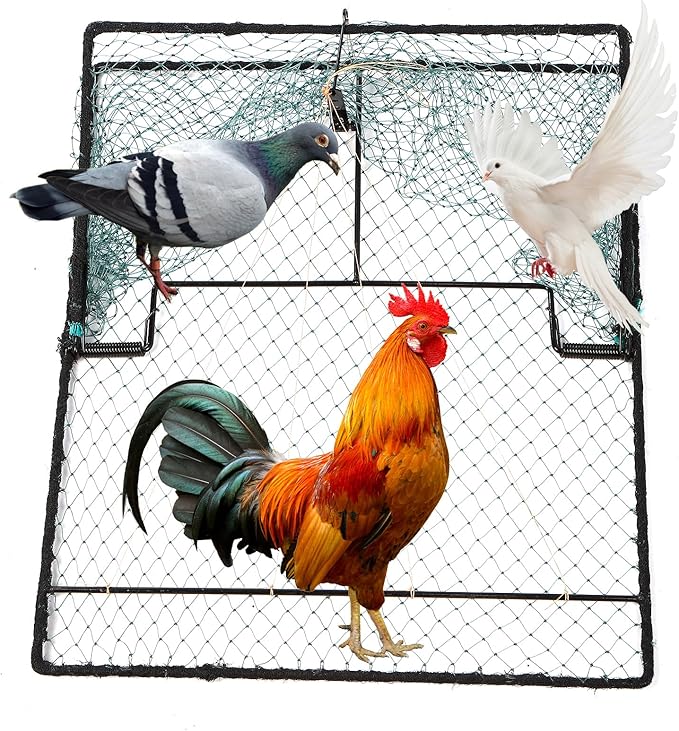 Humane Pigeon Trap,Bird Trap for Quail,Turkey,Net Traps (19.7x23.6 inch)