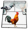 Humane Pigeon Trap,Bird Trap for Quail,Turkey,Net Traps (19.7x23.6 inch)