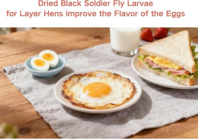 10LB Non-GMO Dried Black Soldier Fly Larvae - High Calcium 4.2-4.5% (More Than Mealworms) & 36-43% Protein, 100% Natural Treat for Chickens Strong Eggshells & Immune Support