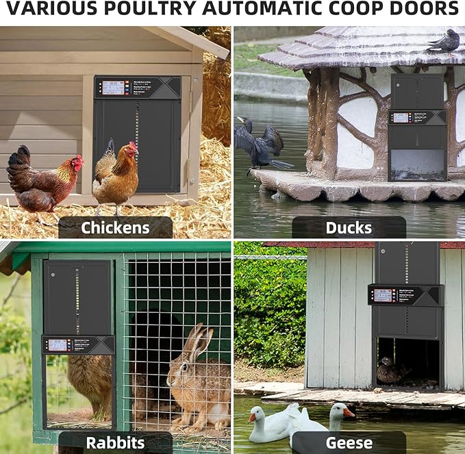 Automatic Chicken Coop Door Solar Powered with Timer & Light Sensor