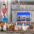 Chicken Nesting Boxes, 6 Hole Metal Chicken Laying Box with with Removable Trays and Roll Out Egg Collection for Chicken Coop, with Metal Bracket, Blue