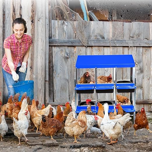 Chicken Nesting Boxes, 6 Hole Metal Chicken Laying Box with with Removable Trays and Roll Out Egg Collection for Chicken Coop, with Metal Bracket, Blue