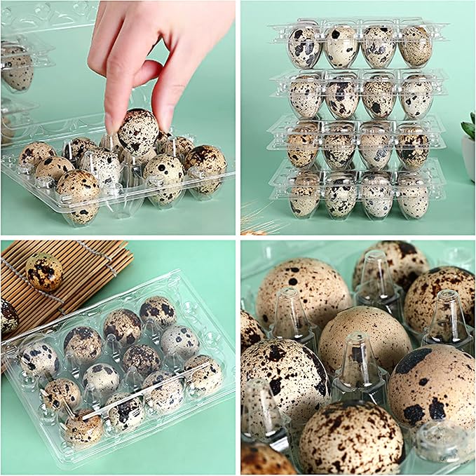 SENENQU 150 Pack 12 Grids Clear Quail Egg Carton Cheap Bulk, Small Plastic Quail Egg Storage Holder with Lid, Reusable Mini Quails Eggs Dispenser Holder Case for Small Pheasant Pigeon Egges