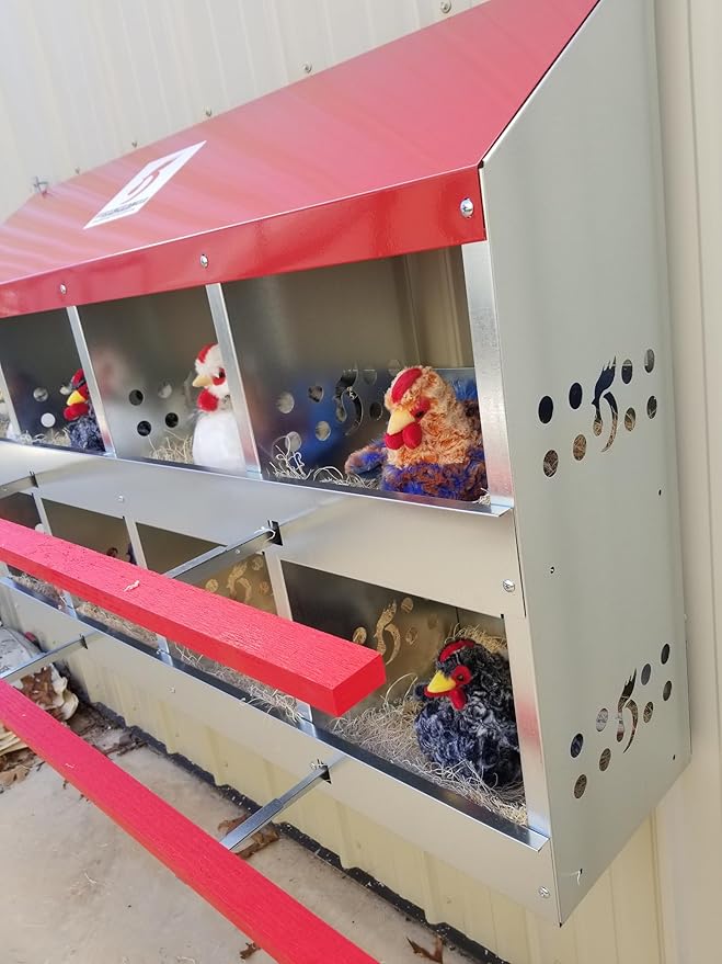 Duncan's Chicken Nesting Boxes - 8 Hole Metal Poultry Nest Box Wall Mount for Chickens, Hens, Ducks - Easy Egg Collection - Large Vented Holes - Fold Up Perches