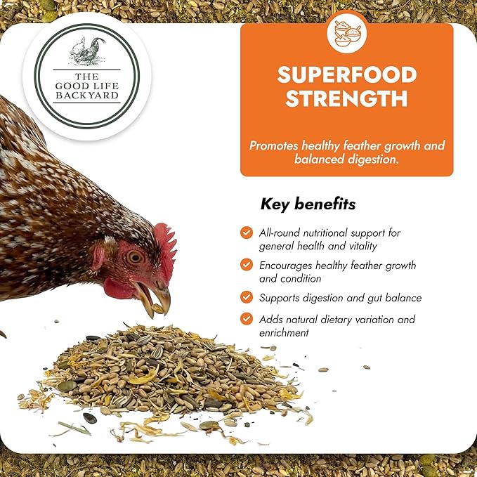 Good Life Backyard Superfood Strength for Chickens – General Wellbeing Nutrient Rich Poultry Supplement (1 lb Pouch) | Hatching Time