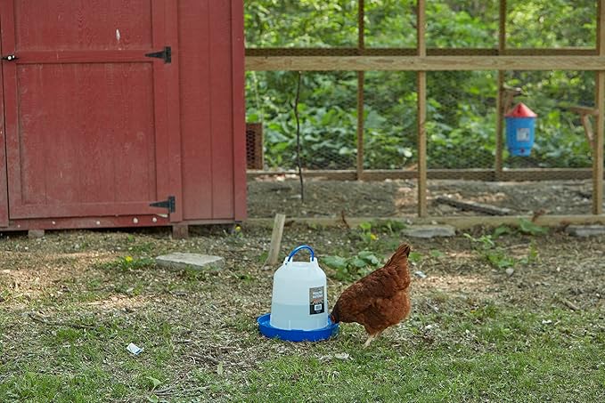 Double-Tuf® Plastic Poultry Waterer | Durable Watering Container | Hanging Chicken Waterer No Waste | 2.5 Gallon