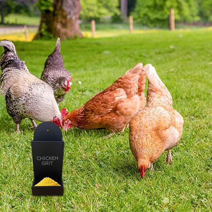 Gravel Feeder - Oyster Shell and Grit Feeder, Versatile Oyster Shell Feeders for Chickens,Hanging Chicken Feeders Trough,Precision Nutrition, Chickens Coop Accessories for Poultry (a)