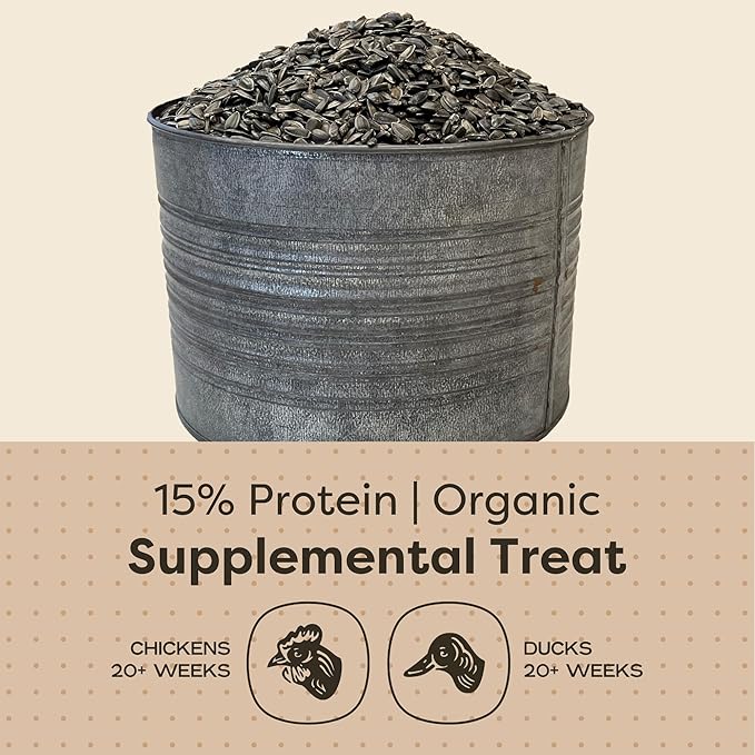 Scratch and Peck Black Oil Sunflower Seeds Chicken and Duck Treat - 25 lbs Bag - 15% Protein, Certified Organic and Non-GMO Project Verified Chicken Food