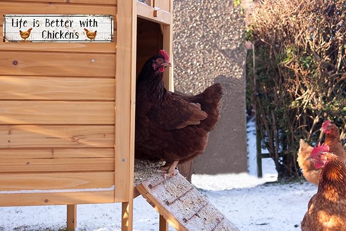 AWISZZZ Metal Tin Signs Life is Better with Chickens Signs Farm Chickens Door Accessories Wall Decor Vintage Retro Art Plaque for Bedroom Kitchen Garden Pub Club Coffee Hanging Decor 4x16 In