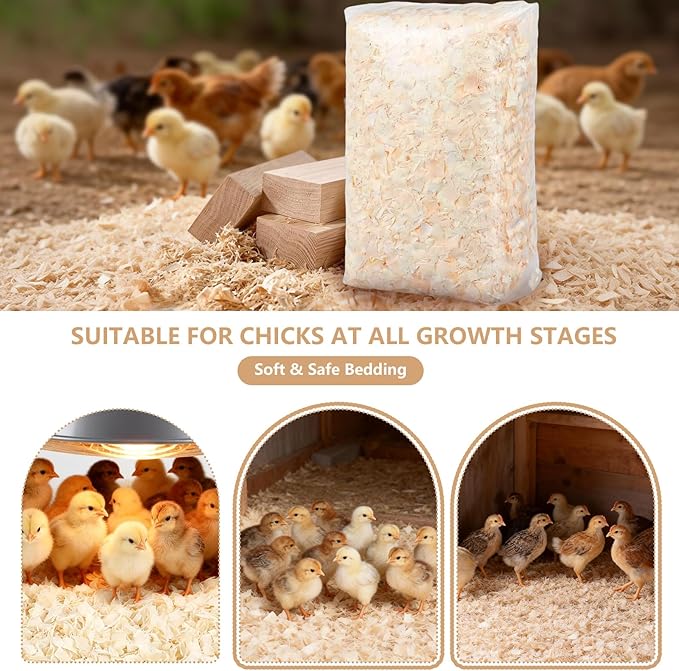 1LB/2LB Chicken Coop Bedding for Chicks– White Poplar Wood Shavings, Ultra-Absorbent Chick Brooder Bedding, Natural Odor-Control Wood Flakes for Keep Coop Dry Clean and Tidy (2LB)