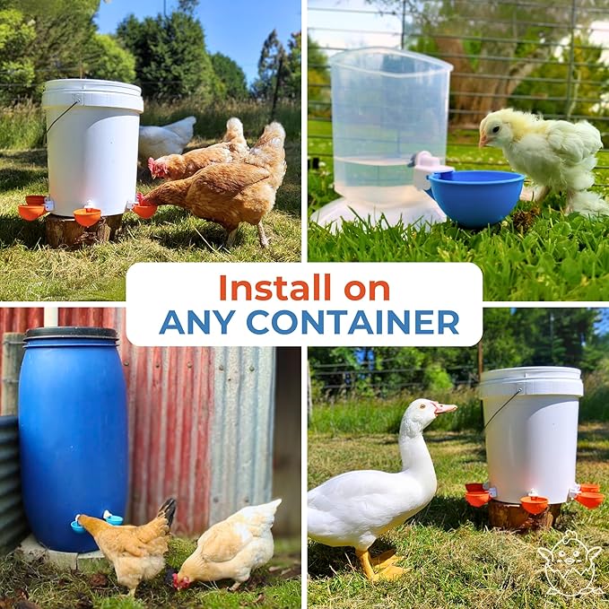 Lil'Clucker Large Automatic Chicken Waterer Cups | Chicken Water Feeder Suitable for Chicks, Duck, Goose, Turkey and Bunny | Poultry Water Feeder Kit (Orange, 12-Pack)