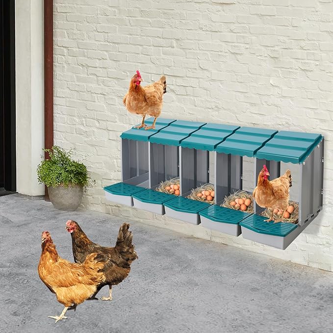 Chicken Nesting Box, 5 Compartments PP Nesting Box, Wall Mountable Nesting Boxes with Inclined Top, Drain Holes & Resting Platform for Chicken and Poultry to Collect Eggs