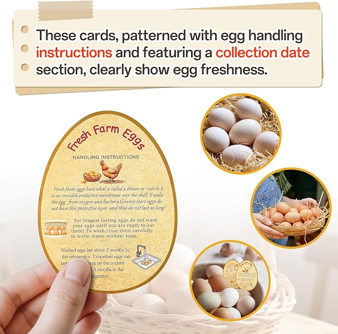 3 in 1 Total 1850pcs Farm Fresh Egg Stickers Set Including 250pcs Handing Instruction Cards,800pcs 2” Round Unwashed just got Laid Carton Stickers,800pcs Rectangular Please Return Egg Carton Labels