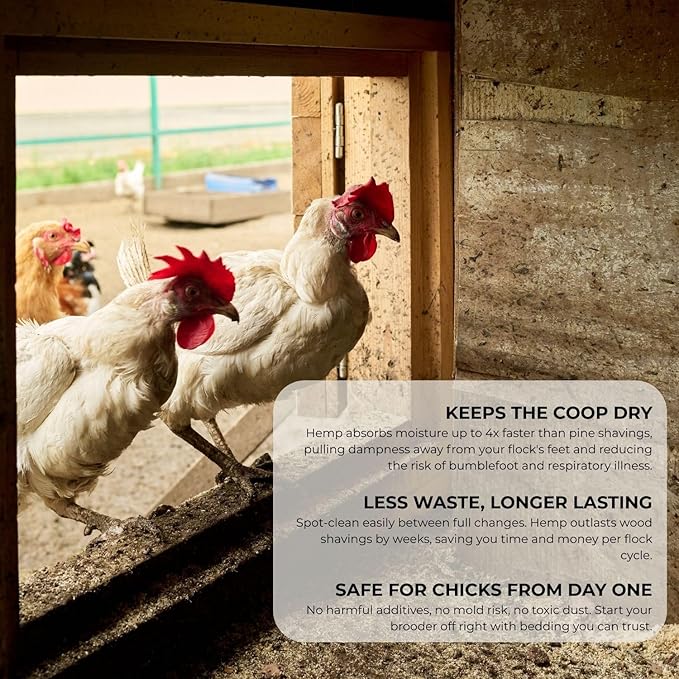 Premium Hemp Animal Bedding for Chickens, Livestock & Small Animals | Highly Absorbent, Low Dust, Natural Odor Control | Coop, Stall & Nesting Bedding | USA Grown Hemp (40lb)
