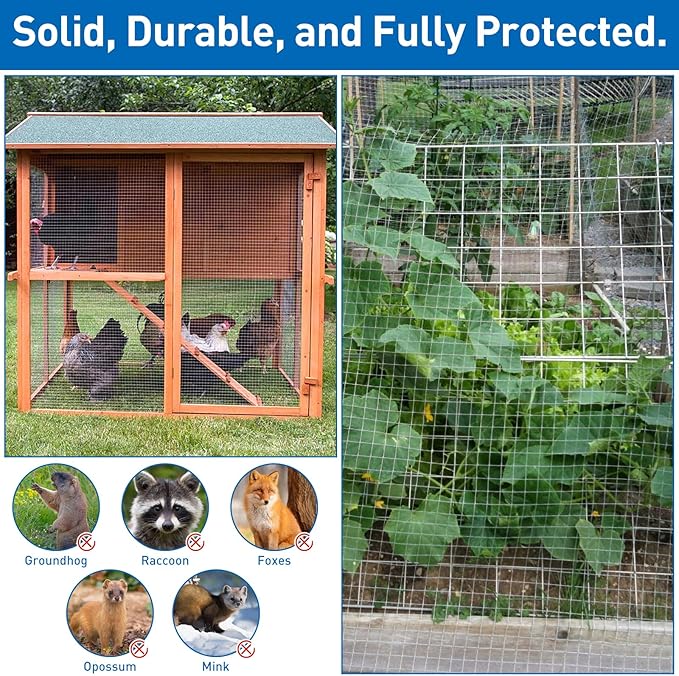 Hardware Cloth,Chicken Wire Fence,1/2 inch 15.7in x 6ft Galvanized Welded Cage Wire for Bird Wire Gopher Wire Rabbit Wire Snake Fence Poultry Netting Cage Screen