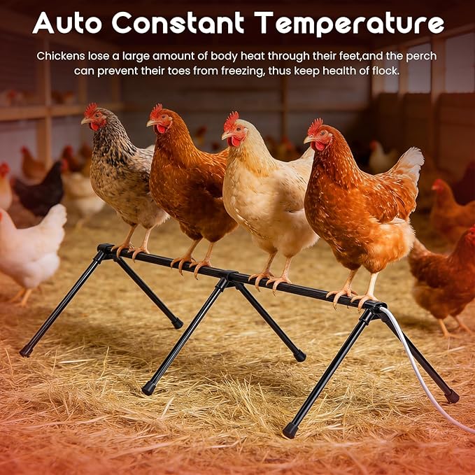 Heated Chicken Perch for Winter Chicken Coop Heater with 24H Timer & Temperature Adjustable Prevent Frozen Toes Chicken Coop Accessories With 2 Heated Roosting Bars for Chick Bird Duck Pigeon Parrot