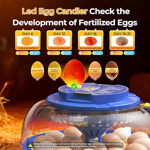 18 Egg Incubators for Hatching Eggs, 360° View with Automatic Egg Turning & Humidity Control, Built-in Egg Candler for Hatching Chicken, Duck, Goose, Quail, Ideal for Home, Classroom, Laboratory, Farm