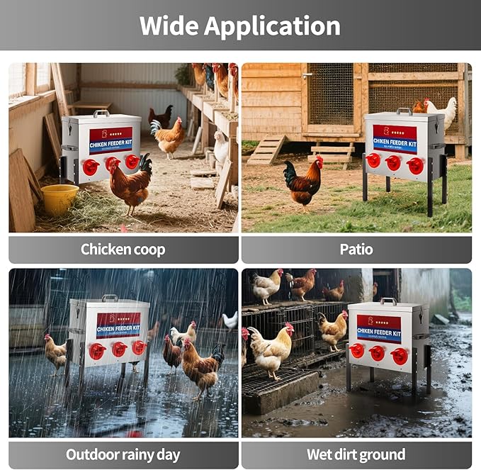 RYFT Chicken Feeder Box 30 Lbs-6 Feeding Port, Galvanized Metal No - Waste Poultry Feeder with Adjustable Legs & Locking Lid