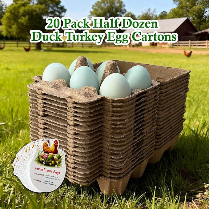 Half Dozen Pulp Duck Egg Carton Container, 6-Count Storage Box for Farm Fresh Double-Yolked Eggs, Reusable, Brown (50 Pack)