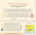100 Pack Premium Fresh Farm Eggs Handling Instructions Care Accessories Cards Labels | Egg Blank Cartons 4 6 12 15 18 30 48 50 Count Basket Box Container Storing Extra Organizer -M06CH100