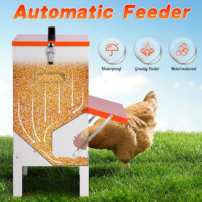 Automatic Chicken Feeders 30lb Metal Poultry Feeder no Waste Large Hanging Chicken Feeders Trough with Leg for Chickens Coop Quail Ducks Outside Galvanized Waterproof Chicken Feeder (30LB)