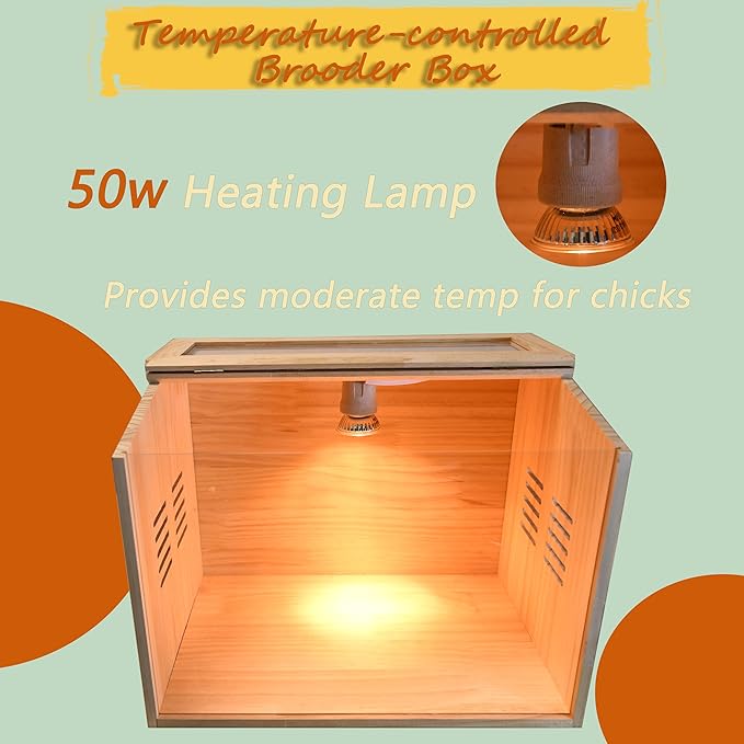 Brooder Box for Chicks, Chicken Brooder Box, Poultry Brooder with Heaters, Chick Brooder for Baby Chicks, Ducks, Quail Birds