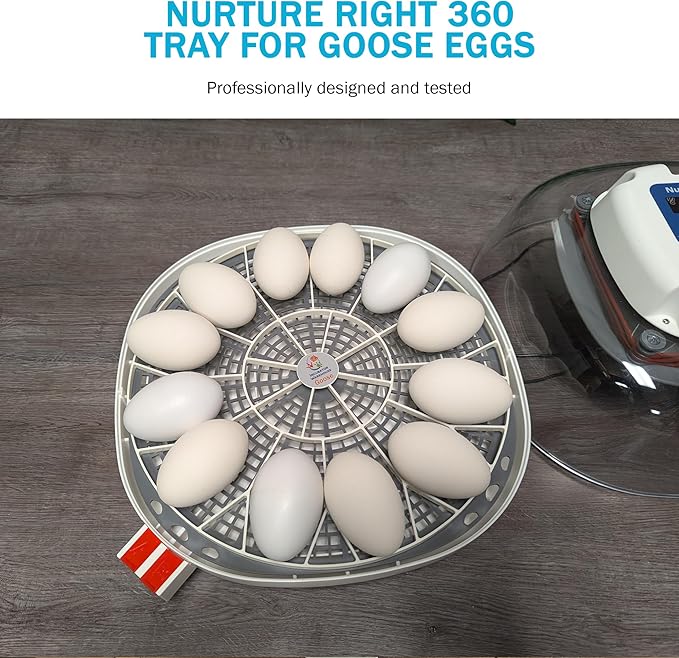 Incubator Warehouse Egg Trays for 11 Large (Goose/Turkey) Eggs - Durable Egg Tray for Nurture Right 360 Egg Incubator - Hand Washable Eggs Keeper for Chicken Goose Turkey Emu (Various Sizes)
