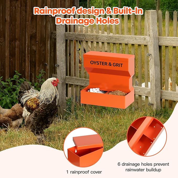 CHUANGFENG Chicken Feeder – Wall Mounted Metal Oyster Shell & Grit Feeder for Chickens, Heavy Duty Coop Feeder with Rust-Resistant Steel, Ideal for Backyard Poultry & Small Farms