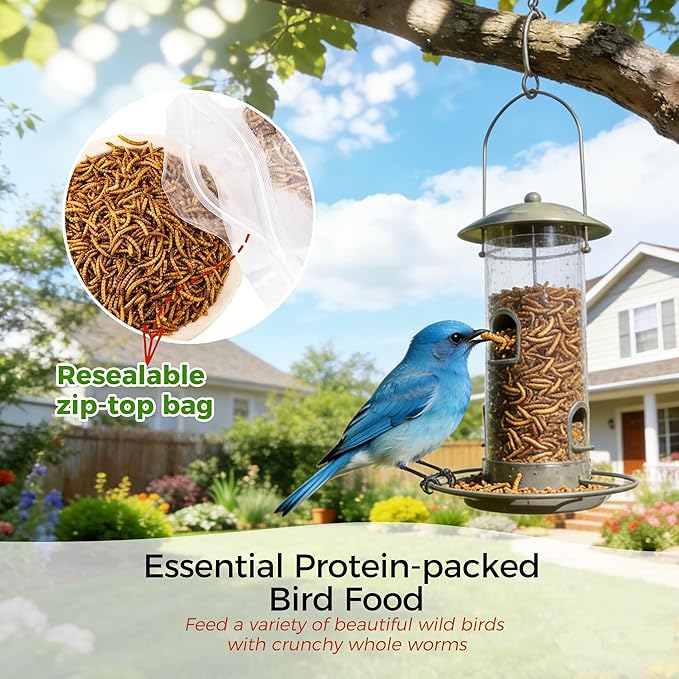 RANZ 10LBS Non-GMO Dried Mealworms for Chickens, High Protein Meal Worms, Premium Chicken Feed, Perfect Bird Food and Chicken Treats, Whole Large Mealworms for Wild Birds, Ducks, Fish