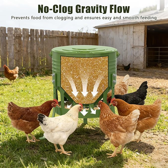 Metal Chicken Feeder No Waste, 20 Lbs Large Automatic Chicken Feeder with 12 Ports, Adjustable Height Poultry Feeder with Lid & Handle, Rat Proof Rust Proof Feed Box for Poultry & Backyard Chickens