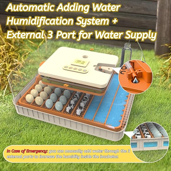 Egg Incubator for Hatching 56-154 Chicken/Quail/Turkey Eggs, 360° View Poultry Incubators with Automatic Egg Turning/Humidity Control&Alarm/Auto Water Adding/Adjustable Tray, for Beginner/Farm/Home
