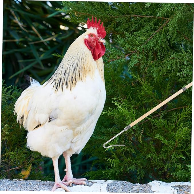Toyvian Chicken Catcher Tool for Efficient Poultry Management and Easy Use Grabber for Catching Chickens and Geese Essential for Poultry Owners