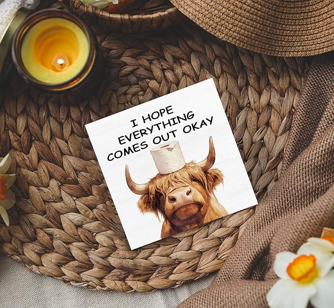 Highland Cow Bathroom Decor Sign, Funny Highland Cow Bathroom Decor, I Hope Everything Comes Out Okay Wood Decoration Bath Room Decor For Washroom Toilet Counter Shelf Table 5x5 Inch
